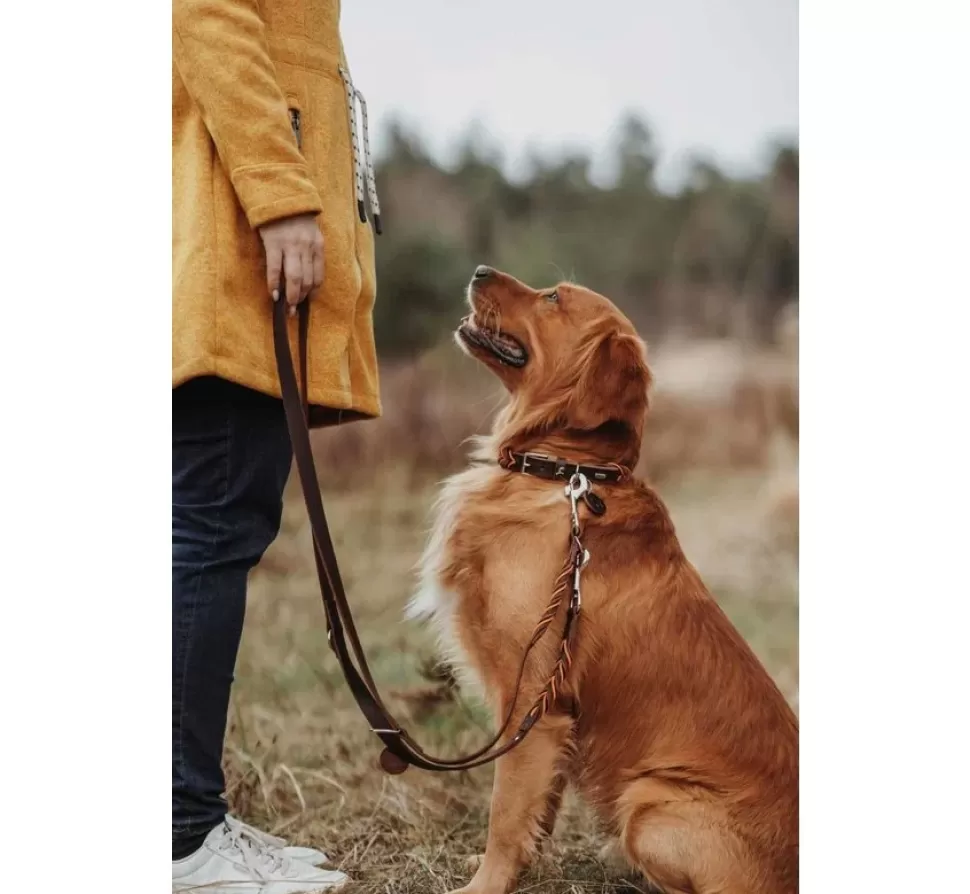 Hunter Hondenriem Solid Education Cord Bruin Oranje