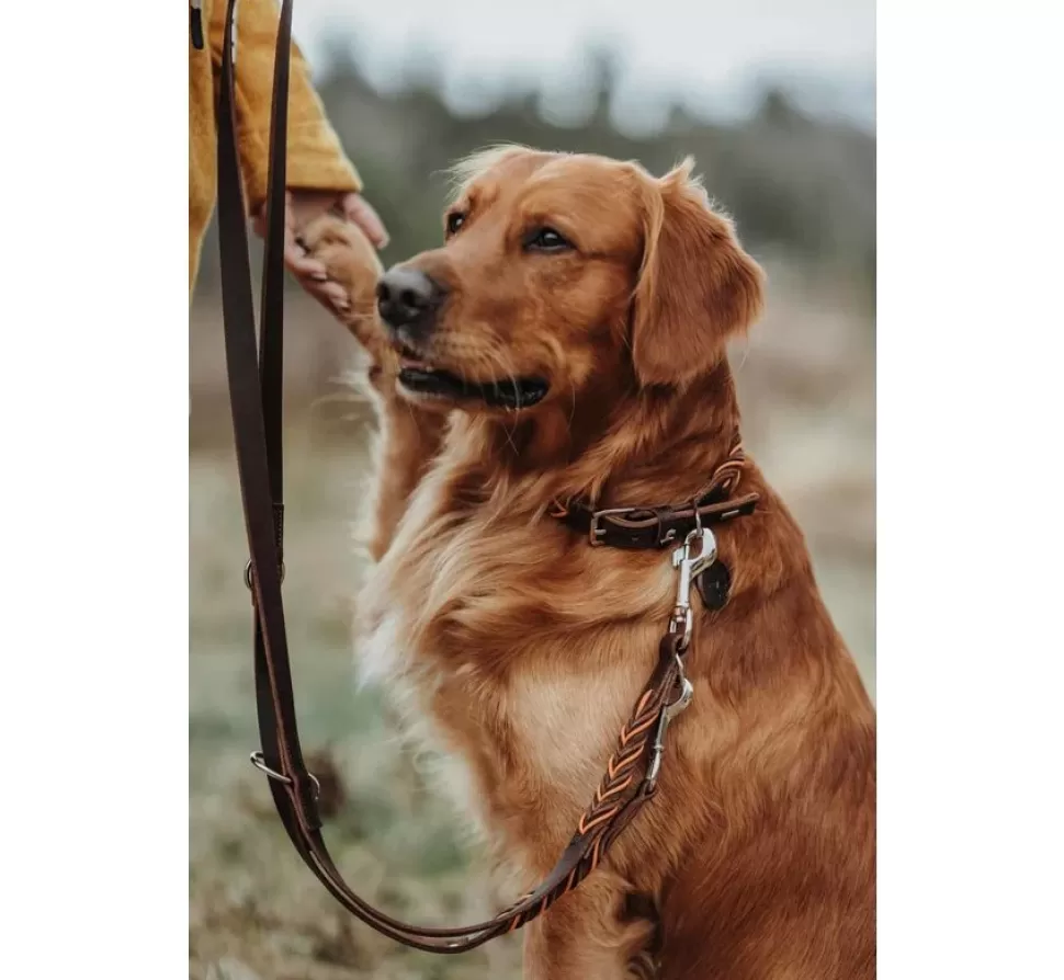 Hunter Hondenriem Solid Education Cord Bruin Oranje